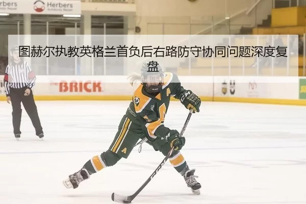 tu-he-er-zhi-jiao-ying-ge-lan-shou-fu-hou-you-lu-fang-shou-xie-tong-wen-ti-shen-du-fu-pan-2-818.jpg